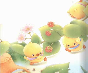 安安静静的小鸭