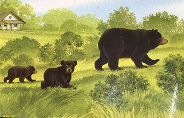 黑熊的森林旅行