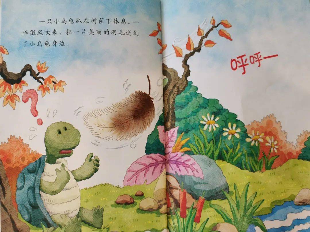 这是谁的羽毛