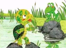 青蛙的乌龟朋友