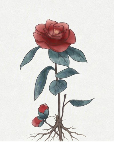 花儿的吻